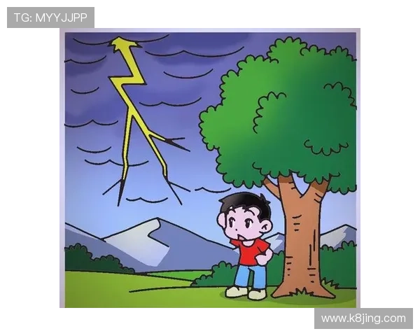 闪电 21 点:探索闪电在自然界中的能量释放与影响力